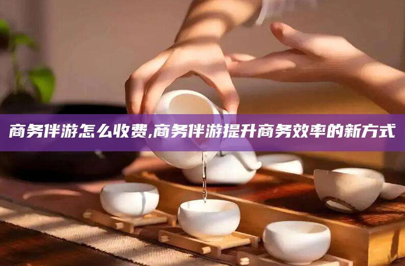 温县商务伴游怎么收费,商务伴游提升商务效率的新方式